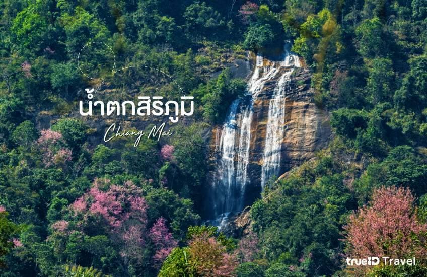 Hidden Forest Waterfall 4