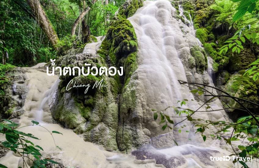 Hidden Forest Waterfall 11