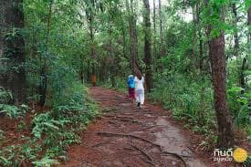 Local Village Walking Trail 3