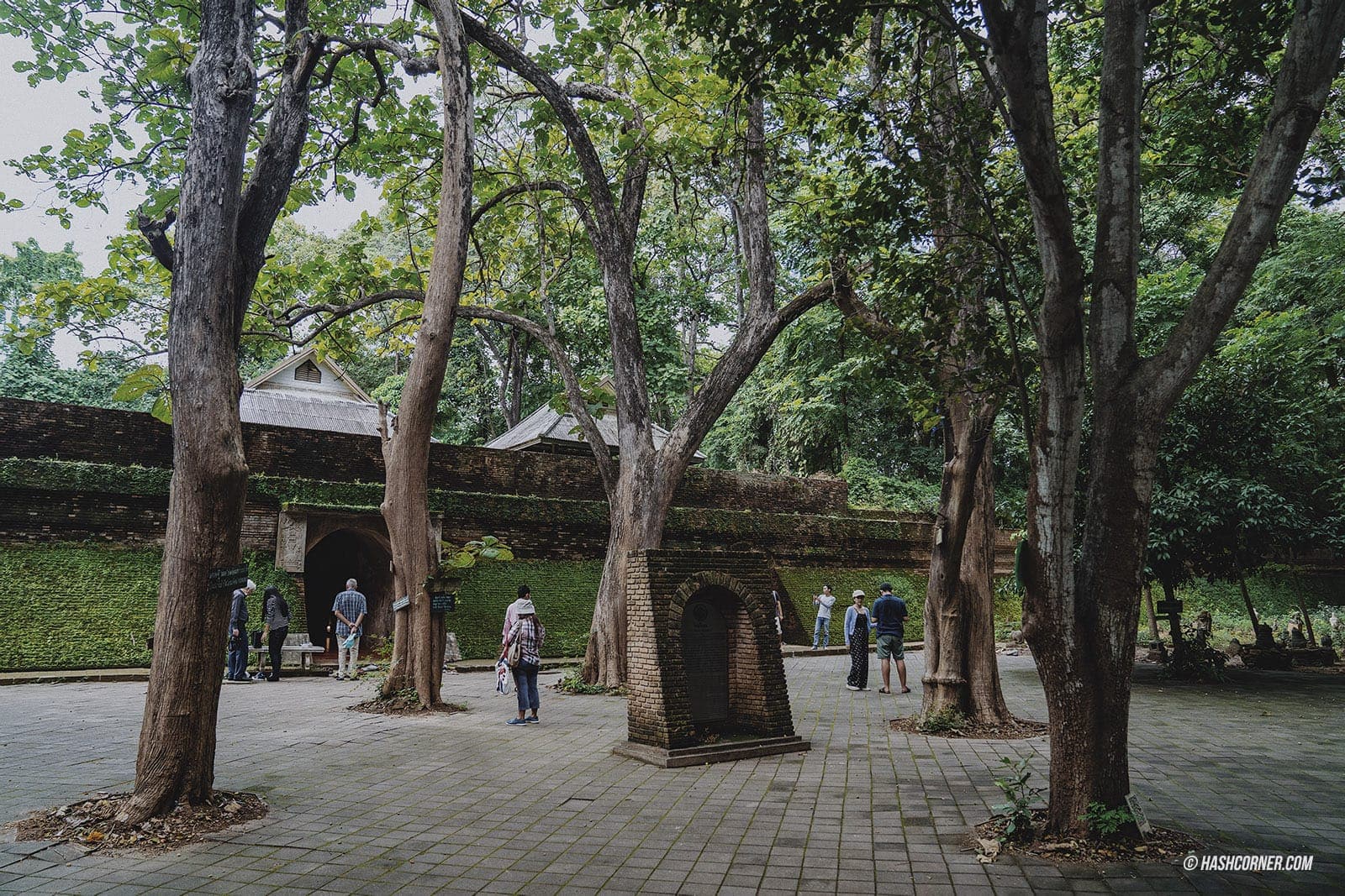 Quiet Temple Garden 2
