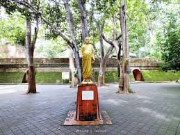 Quiet Temple Garden 6