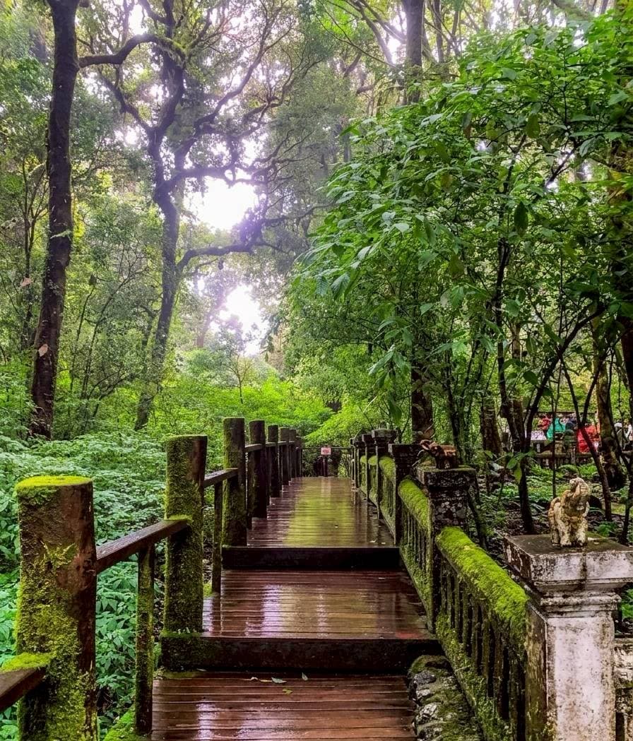 Doi Inthanon National Park 8