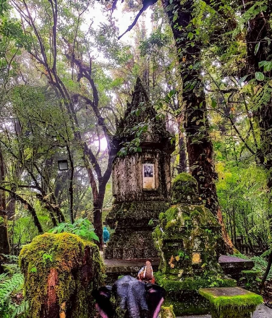 Doi Inthanon National Park 9