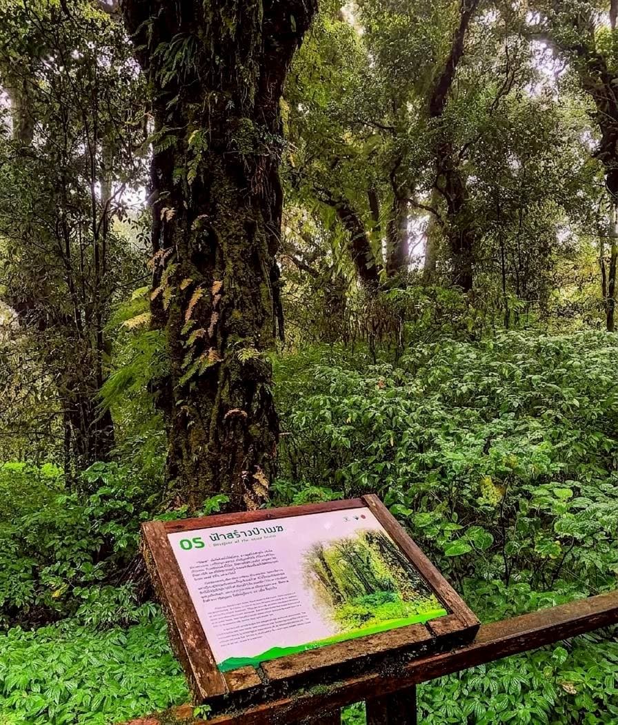 Doi Inthanon National Park 12