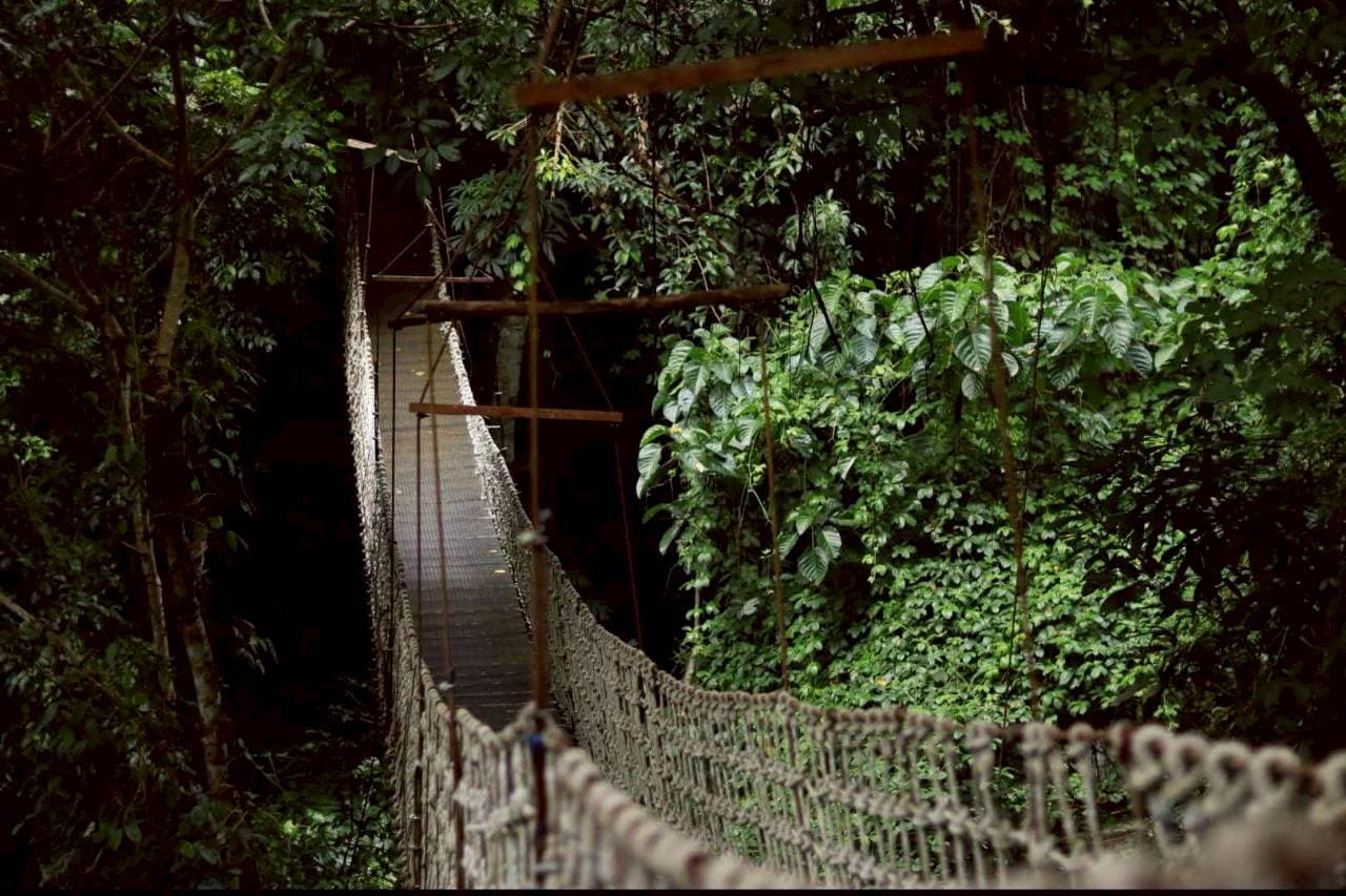 Mae Kampong Village & Nature Experience 12