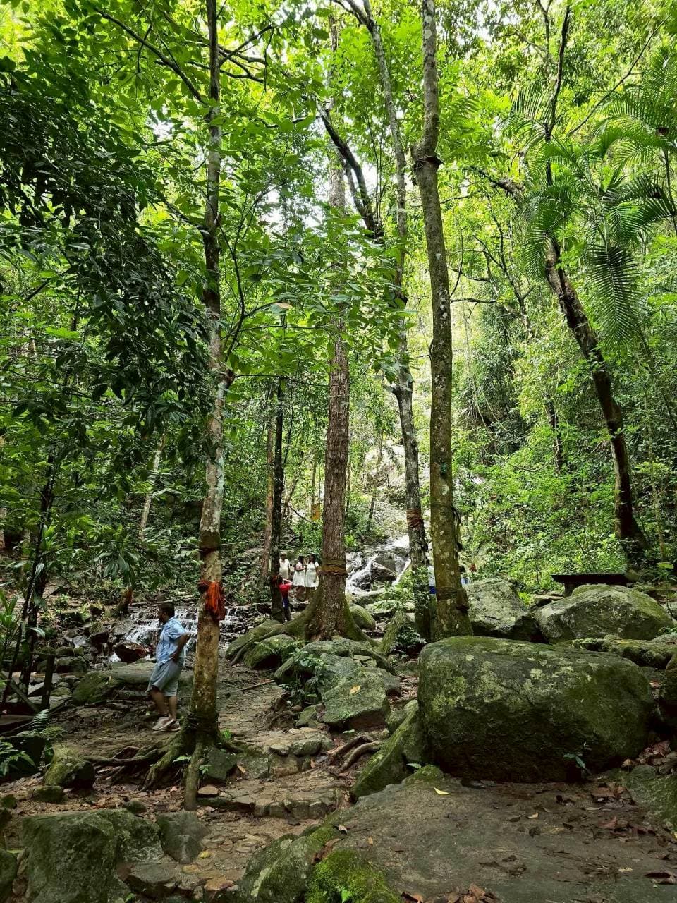 Mae Kampong Village & Nature Experience 14