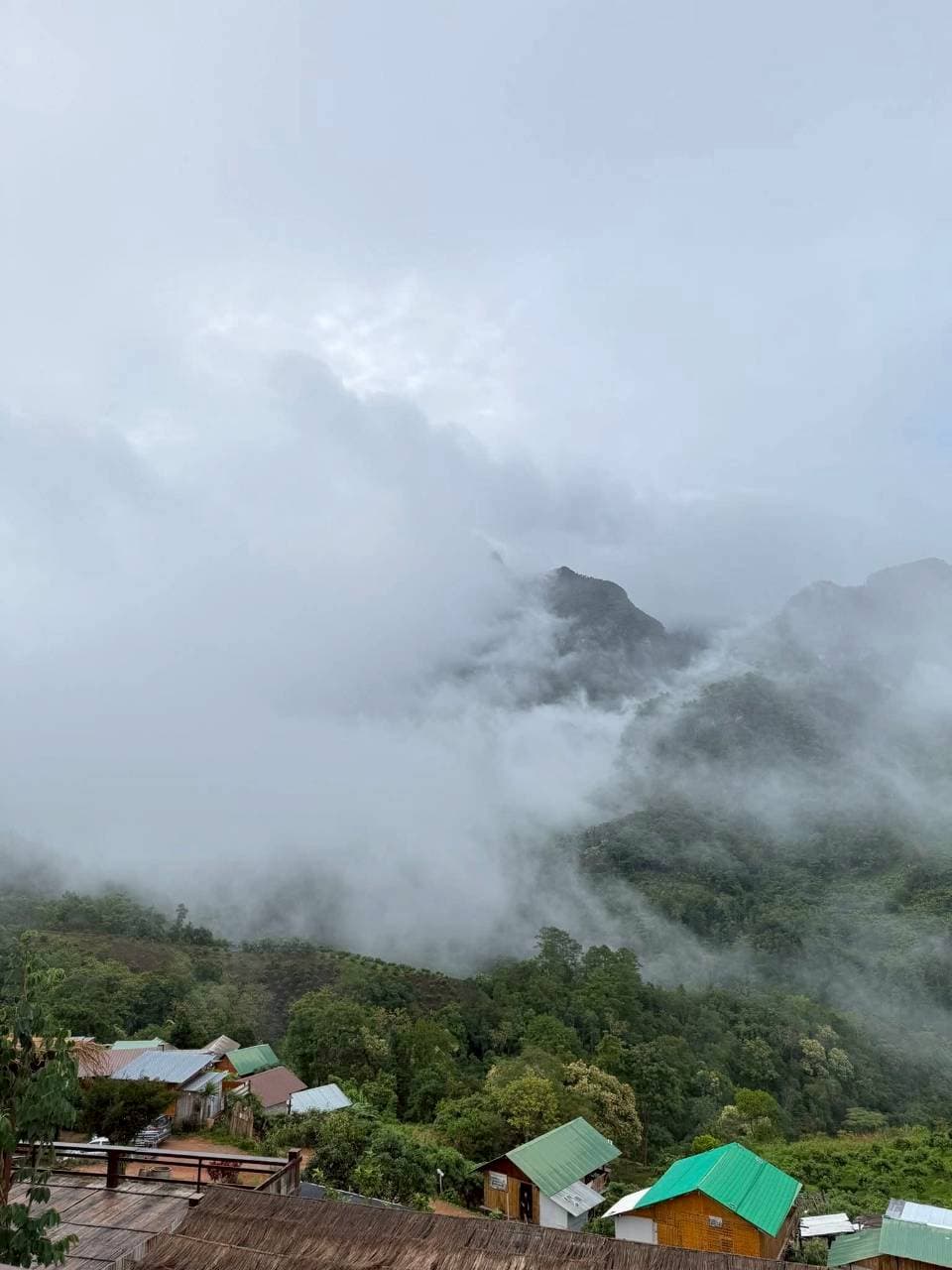 Chiang Dao Mountain View Experience photo 4
