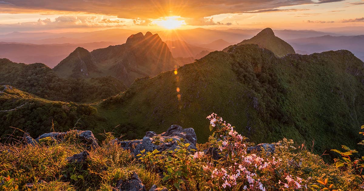 Chiang Dao Mountain View Experience